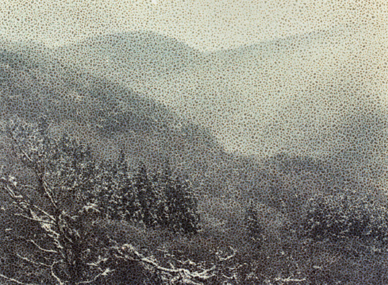 Daisuke Yokota