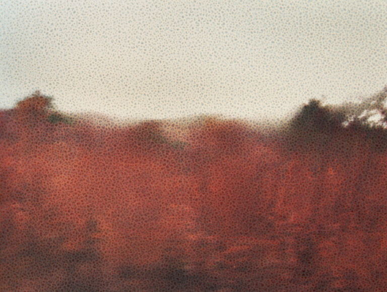 Daisuke Yokota